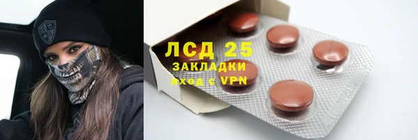 индика Семёнов