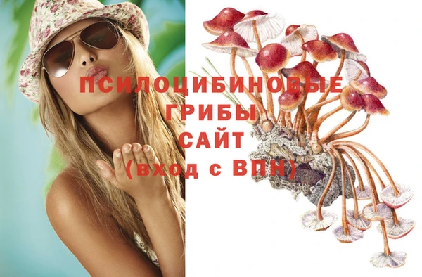 мяу мяу мука Семилуки