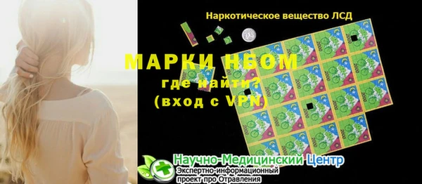 индика Семёнов
