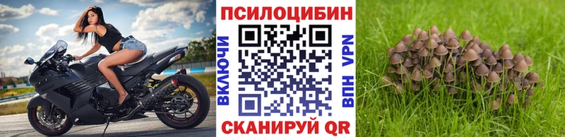 Галлюциногенные грибы мицелий Краснотурьинск